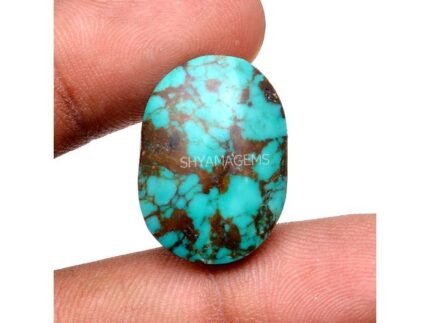 Tibetan Turquoise Smooth Cabochon TT14