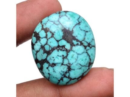 Tibetan Turquoise Smooth Cabochon TT15