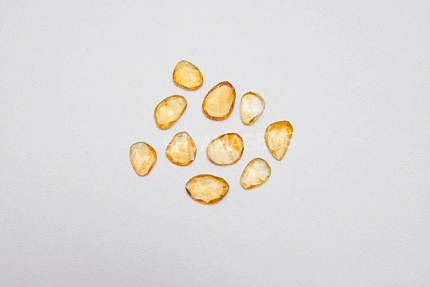 Natural Citrine Rose Cut Loose Gemstone