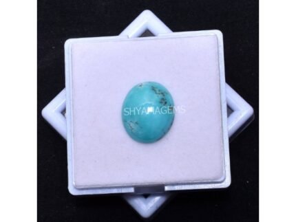 Arizona Turquoise Round smooth cabochon 19mm