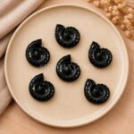 Black Onyx Shell Snail Nautilus Carved 20mm Gemstone