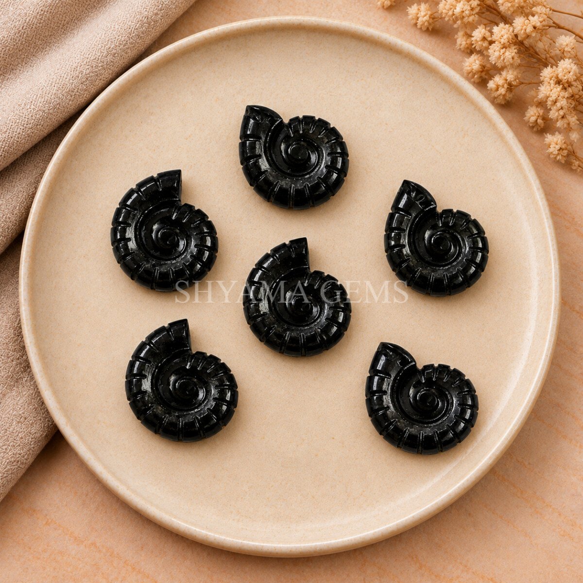 Black Onyx Shell Snail Nautilus Carved 20mm Gemstone Black Onyx Shell Snail Nautilus Carved 20mm Gemstone
