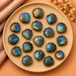 Labradorite Carved Shell Gemstone 12mm