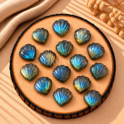 Labradorite Carved Shell Gemstone 12mm