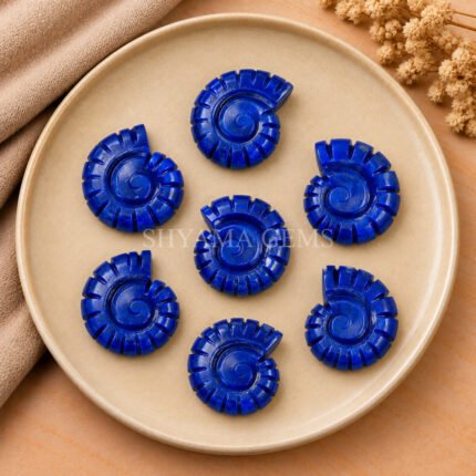 Lapis Lazuli Shell Snail Nautilus Carved 20mm Gemstone