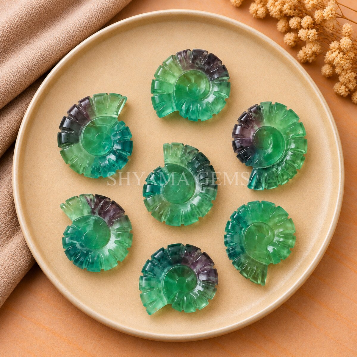 Multi Fluorite Shell Snail Nautilus Carved 20mm Gemstone Multi Fluorite Shell Snail Nautilus Carved 20mm Gemstone