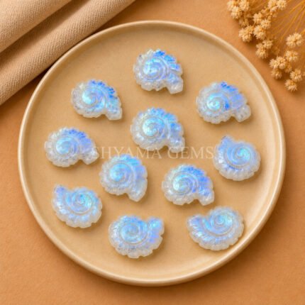 Rainbow Moonstone Shell Snail Nautilus Carved 20mm Gemstone