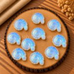 Rainbow Moonstone Shell Snail Nautilus Carved 20mm Gemstone