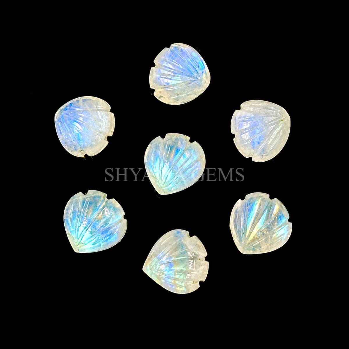 Rainbow Moonstone Carved Shell Gemstone 12mm Rainbow Moonstone Carved Shell Gemstone 12mm