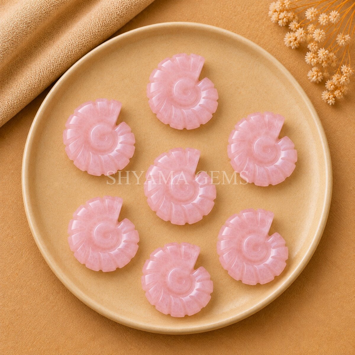 Rose Quartz Shell Snail Nautilus Carved 20mm Gemstone Rose Quartz Shell Snail Nautilus Carved 20mm Gemstone