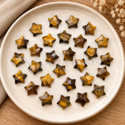 Tiger Eye Star Faceted Loose Gemstone 10mm