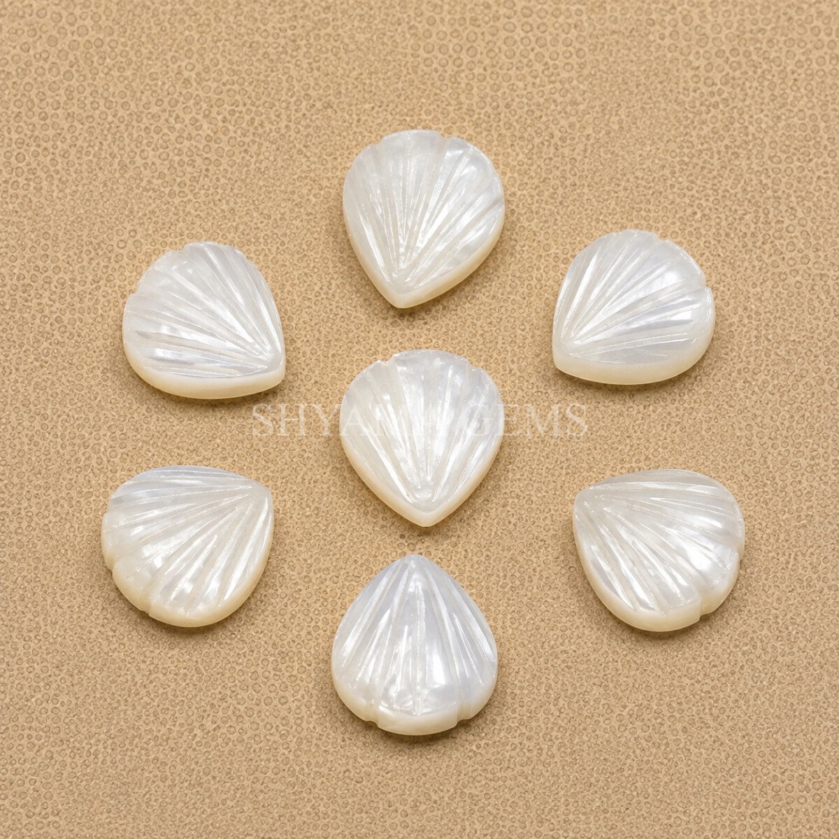 White Moonstone Carved Shell Gemstone 12mm White Moonstone Carved Shell Gemstone 12mm