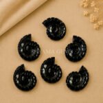 Black Onyx Shell Snail Nautilus Carved 20mm Gemstone