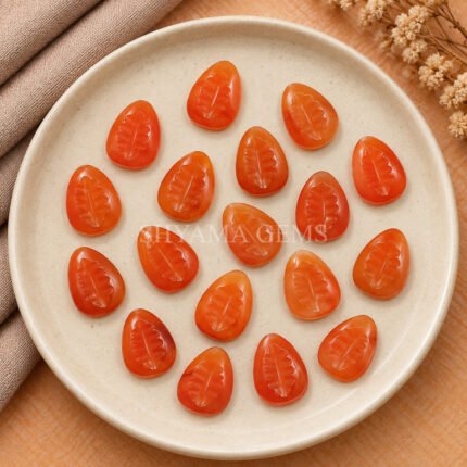 Carnelian Cowrie Shell Carved Loose Gemstone 20×15mm
