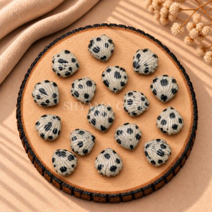 Dalmatian Jasper Carved Shell Gemstone 12mm