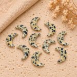 Dalmatian Jasper Faceted Moon Gemstone 17mm