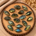 Labradorite Conch Shell Carved Gemstone 18×10mm