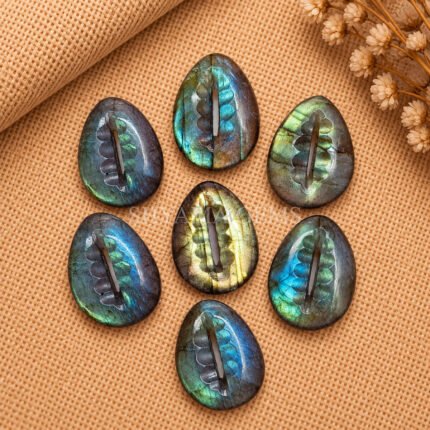 Labradorite Cowrie Shell Carved Loose Gemstone 20×15mm