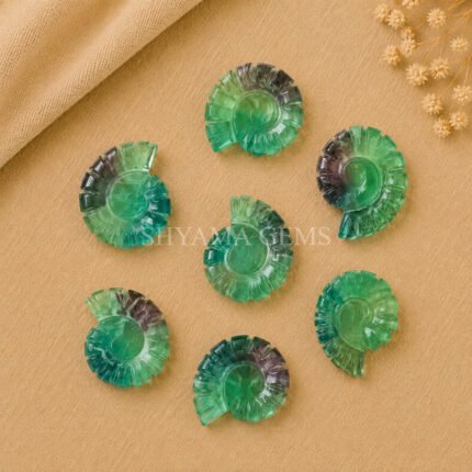 Multi Fluorite Shell Snail Nautilus Carved 20mm Gemstone