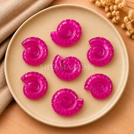 Hot Pink Chalcedony Shell Snail Nautilus Carved 20mm Gemstone