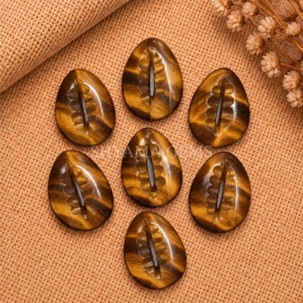 Tiger Eye Cowrie Shell Carved Loose Gemstone 20×15mm