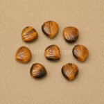 Tiger Eye Carved Shell Gemstone 12mm