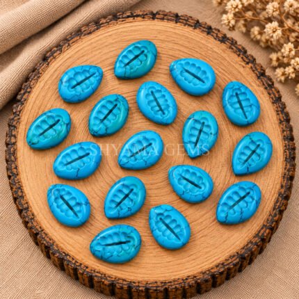 Turquoise Cowrie Shell Carved Loose Gemstone 20×15mm