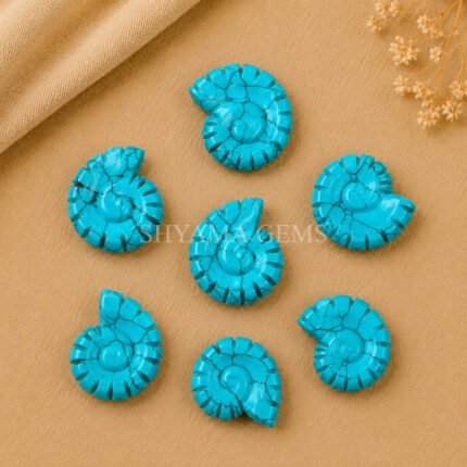Turquoise Shell Snail Nautilus Carved 20mm Gemstone