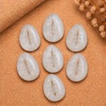 White Moonstone Cowrie Shell Carved Loose Gemstone 20×15mm