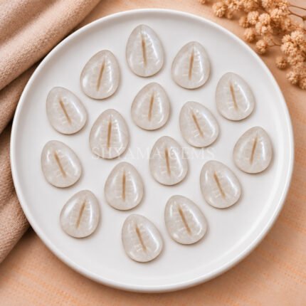 White Moonstone Cowrie Shell Carved Loose Gemstone 20×15mm