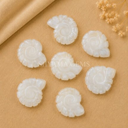 White Moonstone Shell Snail Nautilus Carved 20mm Gemstone